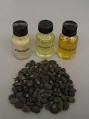 Jatropha Oil For Sell