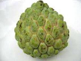 Organic Fresh Custard Apple, For Ice Cream, Style : Frozen