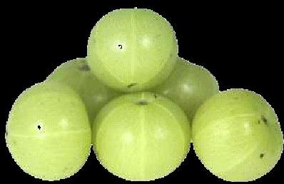 Organic Fresh Gooseberry, Packaging Type : Jute Bag, Net Bag