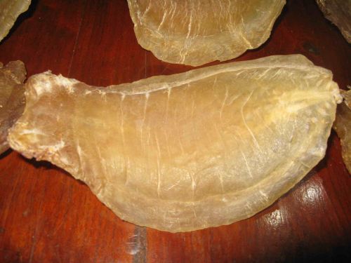 Dried Fish Maw