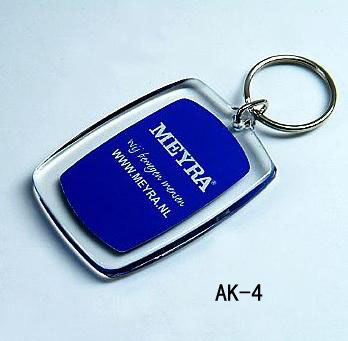 Cute Acrylic Picture Keychains