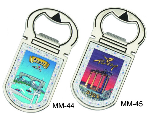 Multifunctional Fridge Magnets