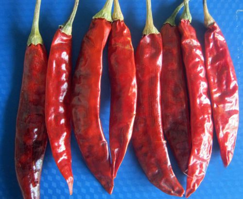 Dried Red Chilli