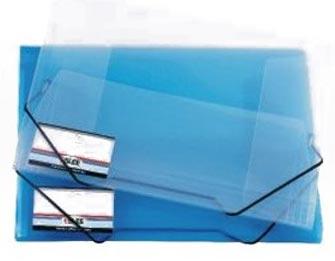 Transparent Document Case