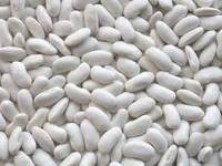 White kidney beans, Packaging Type : Bag Or Can