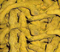 Turmeric finger, Spice level : Medium