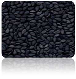 Natural White Sesame Seeds