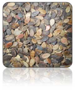 Watermelon Seeds
