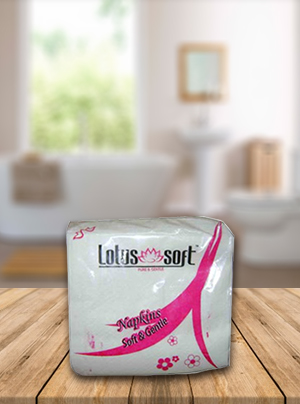 Printed Paper Napkin 12 x 12 inches