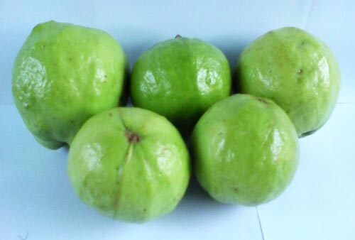 Fresh Guava, Shape : Bigger