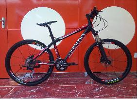 Mtb Bicycles, Brand Name : Junma