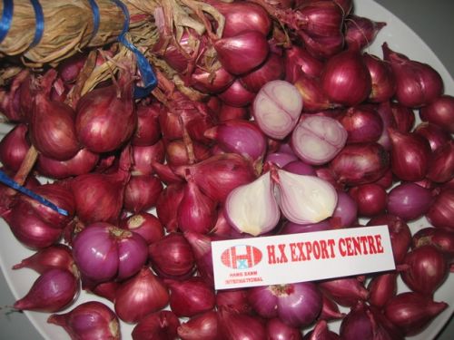 Fresh red onion For Cooking