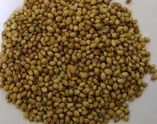 Coriander Seeds