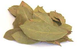 Bay Leaf