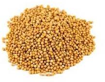 Mustard Seeds