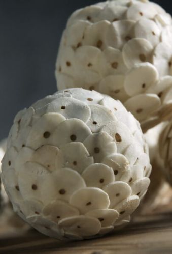 Round Shola Chip Ball 10 Cm, For Decoration, Feature : Eco Friendly