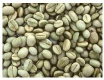 Arabica coffee beans, Packaging Size : 5kg