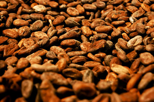 Cocoa beans Form : Beans