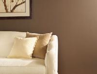 Interior Paints