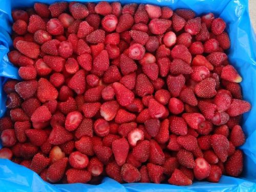 Common Frozen Strawberry, For Home, Hotels, Feature : Good For Health, Good For Nutritions, Non Harmful
