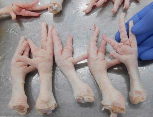 Chicken Feet, Freezing Process : Frozen
