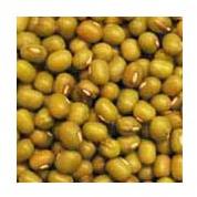 Green moong, Application : Cooking