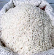 Sharbati basmati rice, Cultivation Type : Organic