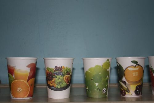 ARC Paper Cups, Areca Plates