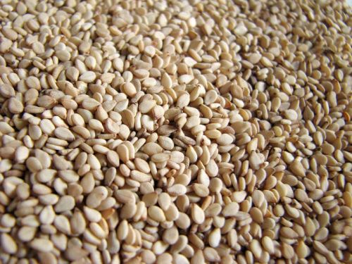 Sesame seeds, Packaging Type : PP Bags