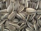 Natural Sunflower Seeds