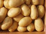 Sell High Quality Fresh Potatoes