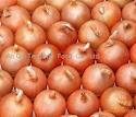 Sell Quality Fresh Red And Yellow Onion For Sale
