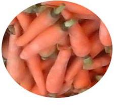 Fresh carrot, Purity : 99%