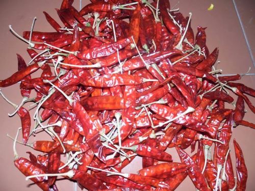 Pickled Hot Red Chili