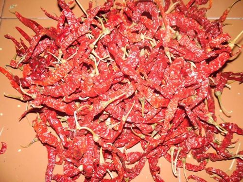 Dried Red Bell Pepper 100% High Quality Base Plant 9x9mm Sweet Pepper