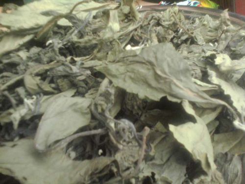 Dried Bitter Leaf, Brand Name : An Nam International Co., Ltd