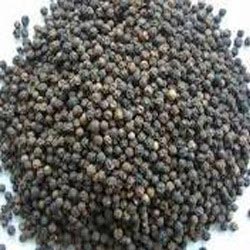 Black Pepper Seeds