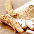 Ginseng Root