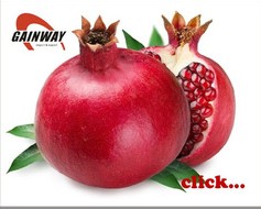 Pomegranate Extract Powder, Grade : pharmaceutic grade