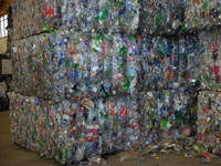 Pet flakes, Production Capacity : 500 Tons / Month