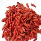 Dried Red Chilli, Coriander Seed, Brand Name : camix