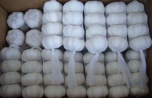 Chinese Fresh Garlic