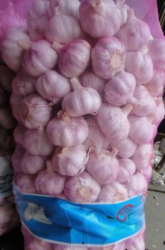 Chinese Normal White Garlic