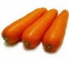 Fresh carrot, Shelf Life : 15 Days