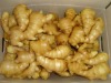 Fresh ginger, Quality Available :A Grade