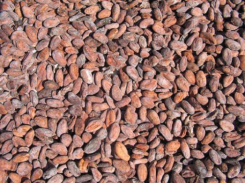 Cocoa beans, Number Of Flower : Food