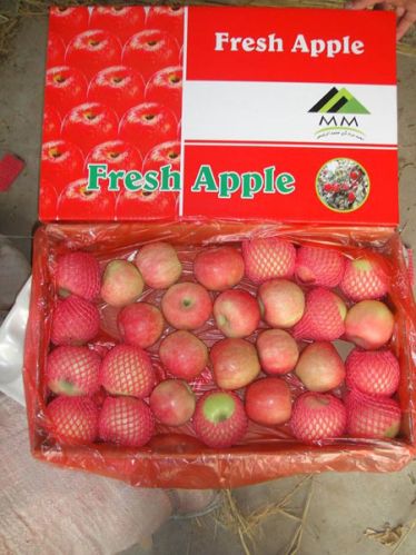 Apple, Usage/Application : Direct Consumption,Cooking, Baking