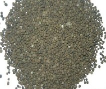Diammonium Phosphate Compound Fertilizer