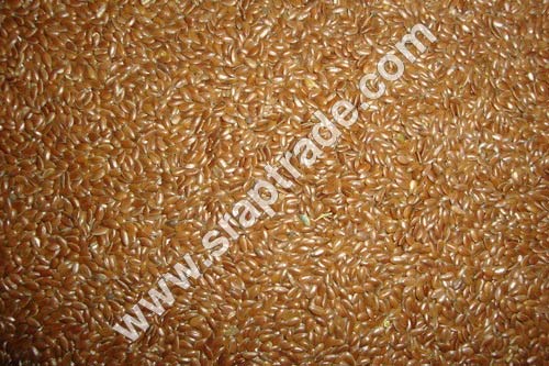 Black Mustard Seeds 01