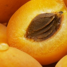 Apricot Kernel Oil Refined